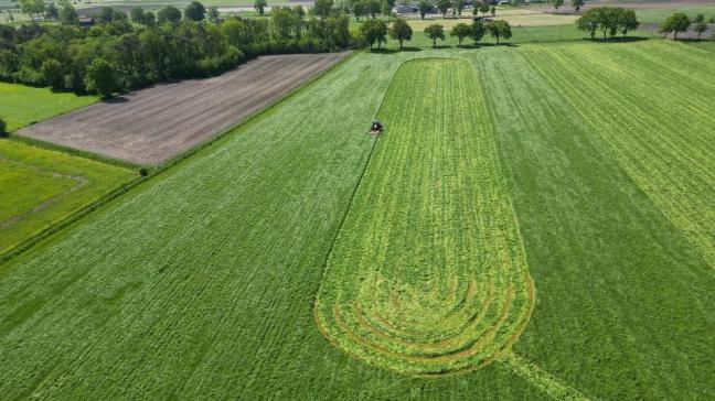 Mits enkele aandachtspunten is het mogelijk om fauna te sparen tijdens het maaien.