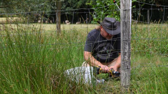Het Wolf Fencing Team is op zoek naar extra vrijwilligers om hun werking te versterken.