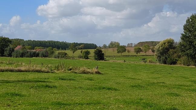 Minister Brouns benadrukte tijdens de commissievergadering de kritische houding die hij altijd heeft aangenomen ten aanzien van Vlaamse aankoopsubsidies voor natuurontwikkeling in landbouwgebied.
