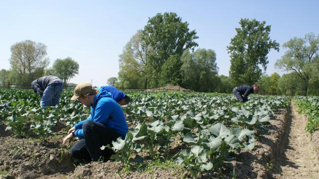 Steunpunt Groene Zorg ontving vorig jaar meer dan 1.150 aanmeldingen voor een zorgtraject op te starten bij een zorgboerderij. Een record.
