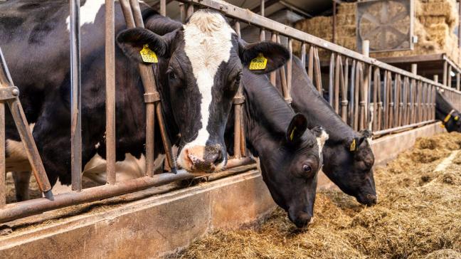 Vreugdenhil legt de melkprijs voor België vast op 40,26 euro per 100 l melk, zonder btw.