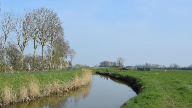 In de Grote Kemmelbeek is een vervuiling met de actieve stof oxamyl gemeten, tot wel 2.000 keer de toegelaten hoeveelheid.