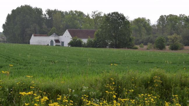 In een hoeve gaat wonen zonder aan landbouw te doen moet financiële consequenties hebben vinden Boerenbond en Natuurpunt.