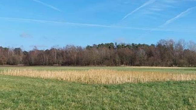 Zicht op het perceel met de vruchtwisselingsproef van de Hooibeekhoeve in Geel.