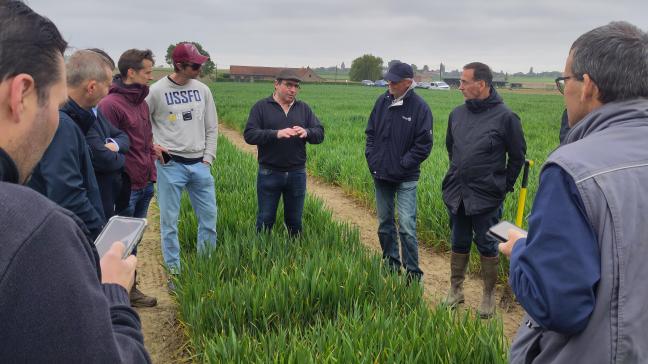 Gastheer Marc Bossuyt van hoeve De Bouvrie gaf zijn ervaringen met de teelt en het agro-ecologisch experiment mee in het proefveld.