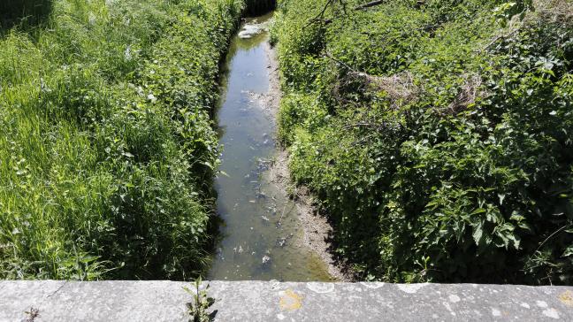 Bij een incident is per ongeluk een chemisch product in de Vijverbeek terechtgekomen in Westrozebeke.