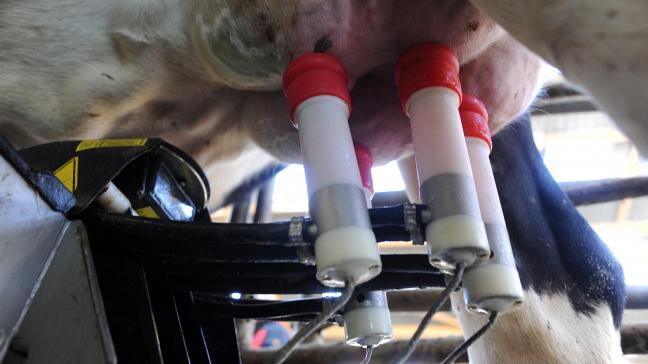 De Verenigde Naties zetten al 25 jaar melk als een natuurlijke voedingsbron in de kijker. De melkveehouderij evolueerde in die periode naar een heel duurzame sector.