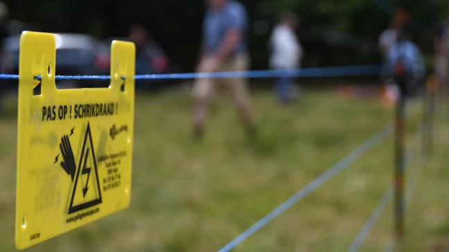 ANB keurde vorig jaar 91 subsidieaanvragen goed  voor het plaatsen van een wolfwerende afsluiting.