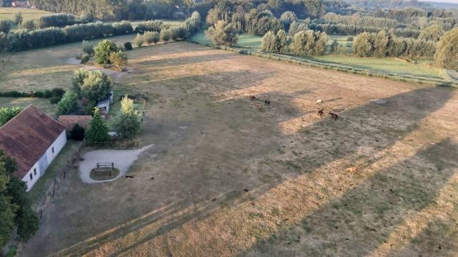 Landbouwers moeten volgens minister Brouns andere landbouwers zoeken om hun landbouw-activiteiten  over te nemen wanneer er geen familiale opvolgers zijn.