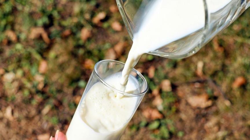 Jaarlijks verkoopt Lidl meer dan 50 miljoen liter melk in ons land.