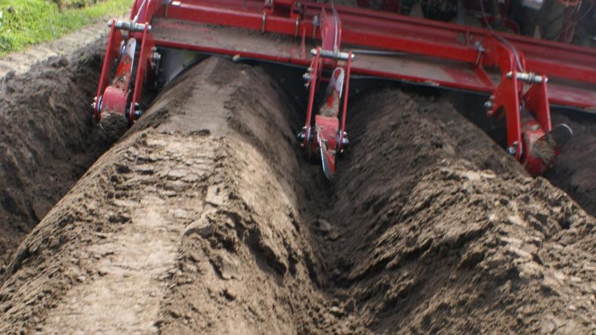 Bij de teelt van aardappelen op percelen met een zeer hoge erosiegevoeligheid is de aanleg van drempels tussen de ruggen steeds verplicht als teelttechnische maatregel.