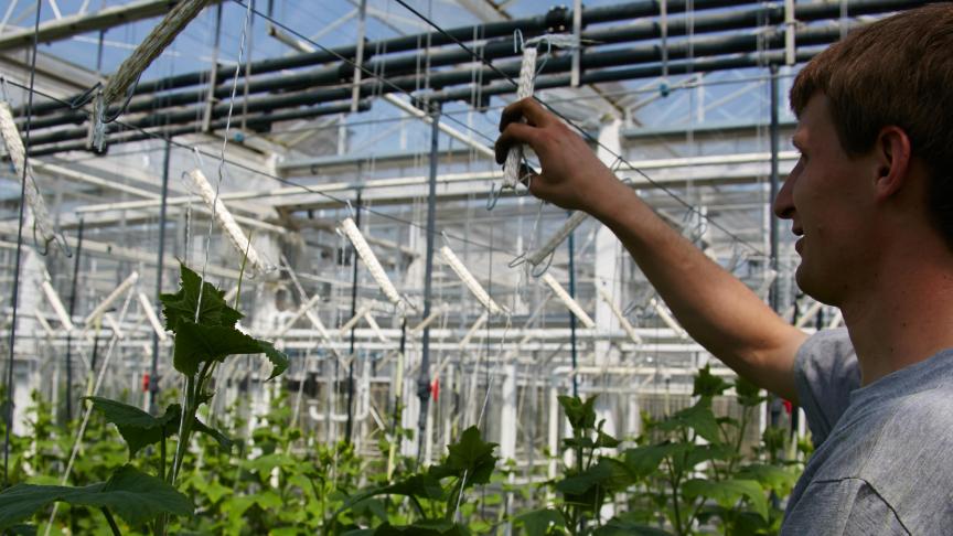 Biologisch telen vraagt niet alleen markt- en productkennis, maar ook  passie.