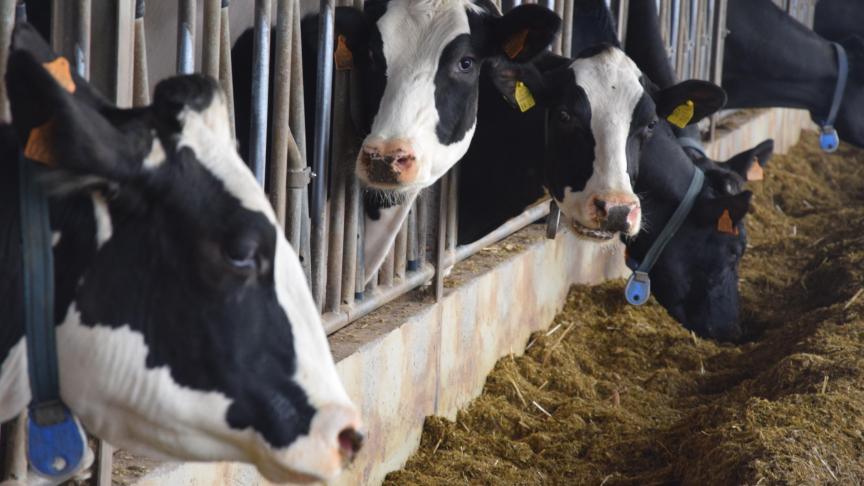 Bioveilig werken is een onmisbaar onderdeel als u streeft naar een economisch rendabel bedrijf