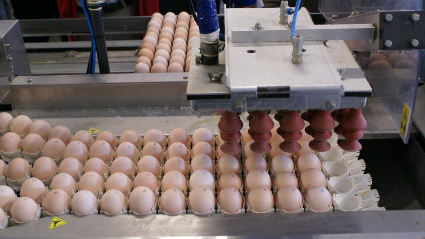 Ook het indexcijfer voor eieren is gedaald.