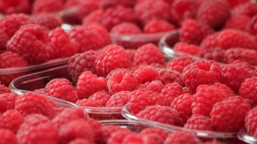 raspberries-378259_960_720