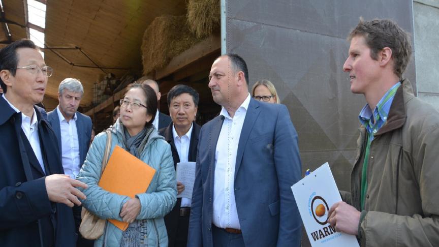 De Chinese minister (links op de foto) liet het niet na om talrijke vragen te stellen aan Denis Devillers (rechts). Dat ging van het onthoornen over de fokkerij tot het verschil in rentabiliteit van de verschillende activiteiten.