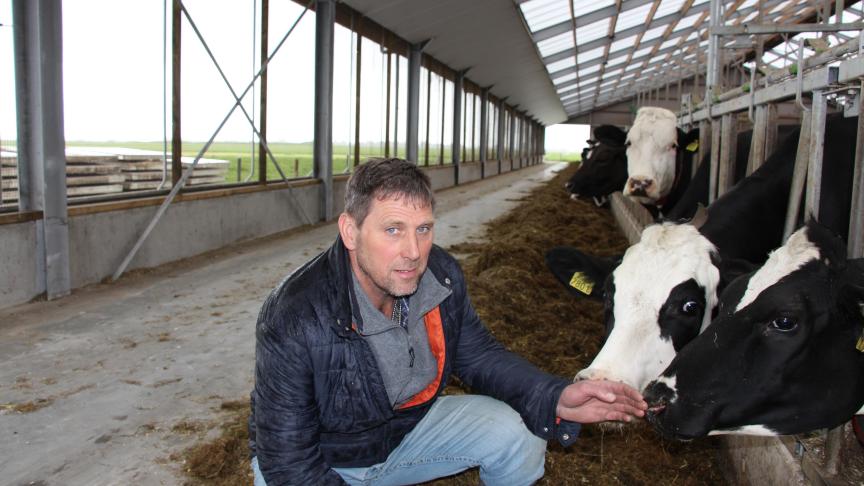 Pieter-Berend Slager vindt dat de koe zich in de stal eigenlijk net zo moet kunnen gedragen als op de weide.