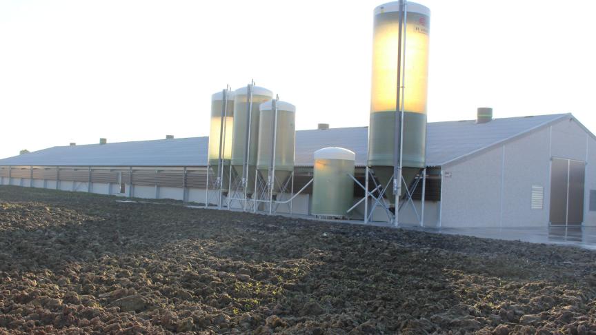 Een deel van het voeder bestaat uit eigen gewonnen tarwe. Die wordt opgeslagen in de grote silo rechts. De drie kleinere silo’s zijn voor het kernvoeder. Vooraleer het eindvoeder gemengd wordt, wordt de tarwe gekuist. Dat kuisen en reinigen gebeurt in de tweede silo van rechts.