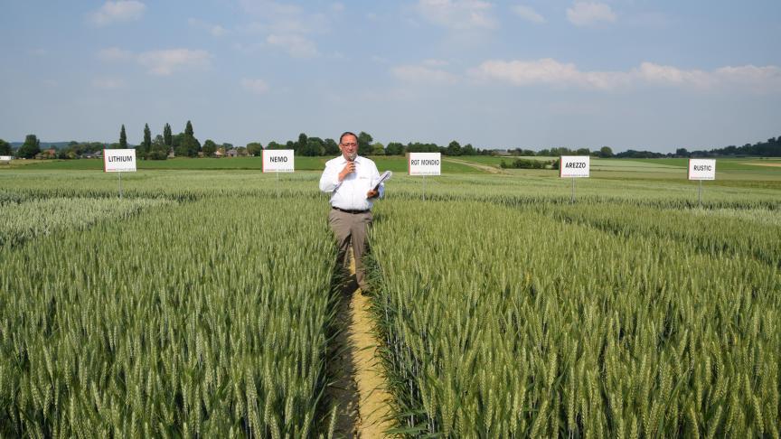 Joris Vanmeirhaeghe gaf op de demodag van Jorion Philip-Seeds uitleg bij de diverse tarwerassen.