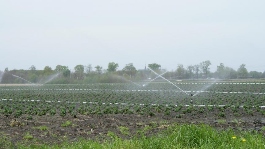 Een doordachte aansturing van irrigatie kan de landbouwer heel wat kosten besparen.