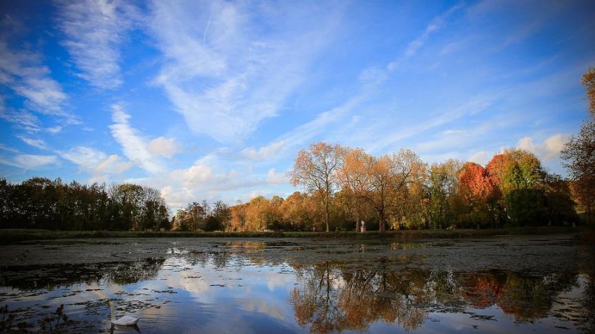 landscape-2150855_960_720