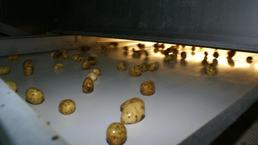 Vooral de investeringen in de verwerking van aardappelen namen spectaculair toe.