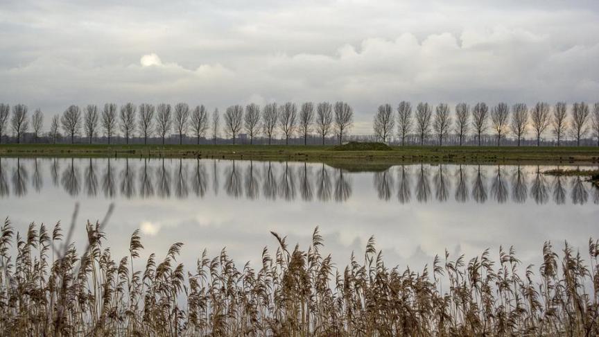 landscape-975327_960_720
