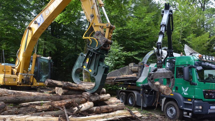 Par rapport aux événements forestiers similaires, Demo Forest présente le grand avantage de présenter des équipements de petit et grand calibre en conditions réelles de travail! Avec toutres les mesures de sécurité requises.