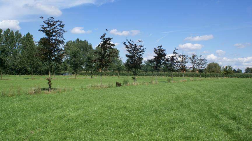 DSC08906