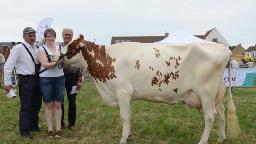 Inka van het Vinkenhof (v. Jotan Red), kampioen roodbonte koeien. Eig.: Vandewalle E., Eernegem.
