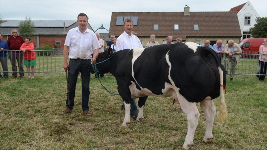 Kiara van de Stokerij (Depute x Machinal), eerste prijs koeien geboren tussen 16 febr. en 15 mei 2015. Eig.: Monbaliu R., Jabbeke.