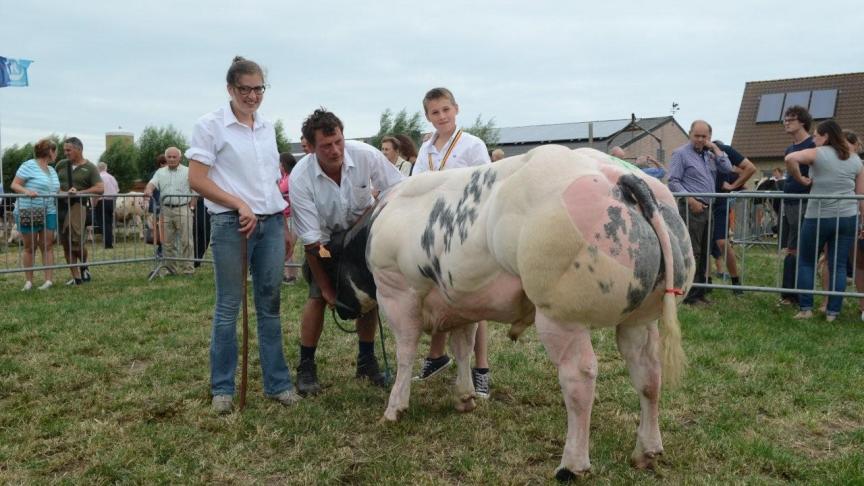 Lotto van Stavele (Toscan x Lotto), eerste prijs bij de stieren geboren tussen 20 mei en 15 juli 2016. Eig.: Decroos P., Stavele.