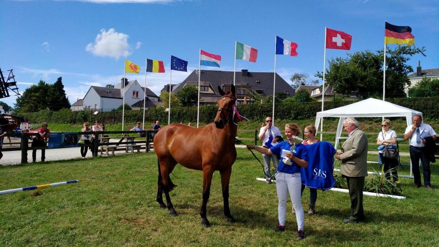 Winnares van de proef driejarige sportpaarden in Libramont : de merrie Idyllis du Frech Try