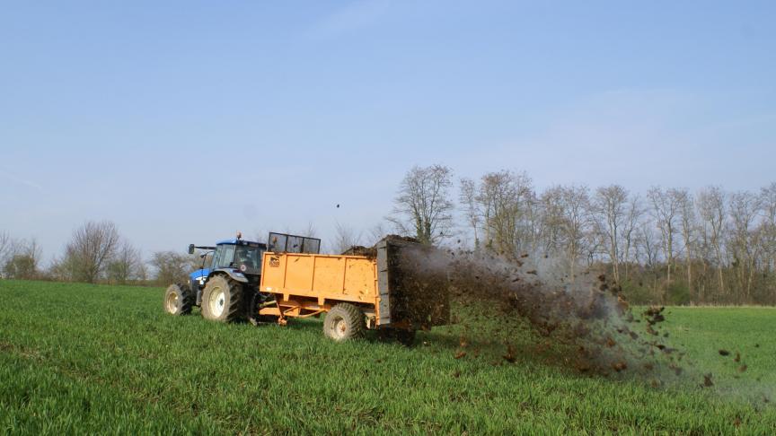 In opdracht van de VLM onderzoekt het Ilvo en de BDB of de breedte van de bemestingsvrije strook kan aangepast worden.