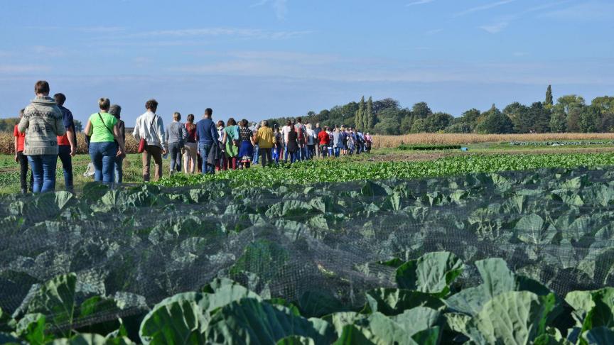 Op de kouter in Afsnee is 10 ha grond beschikbaar, geschikt voor akkers of grasland.