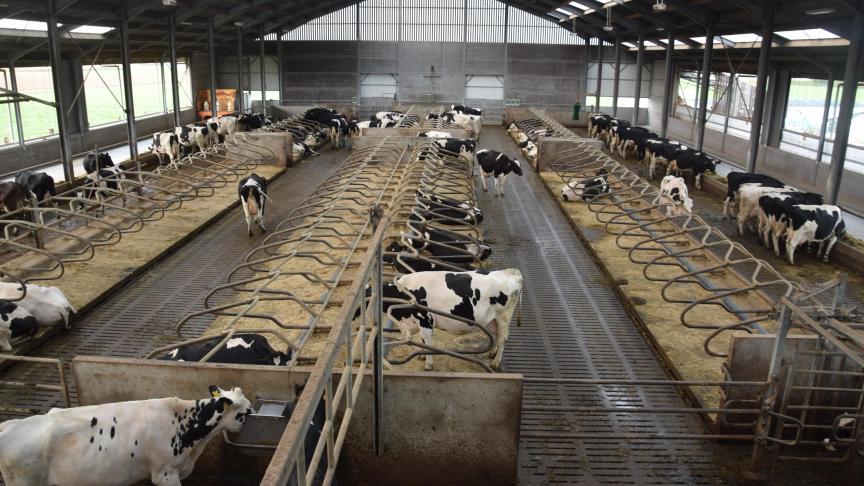 Gemiddeld genomen konden melkveehouders dit jaar 13,5 duurzaamheidsinitiatieven afvinken, de helft meer dan in 2014.