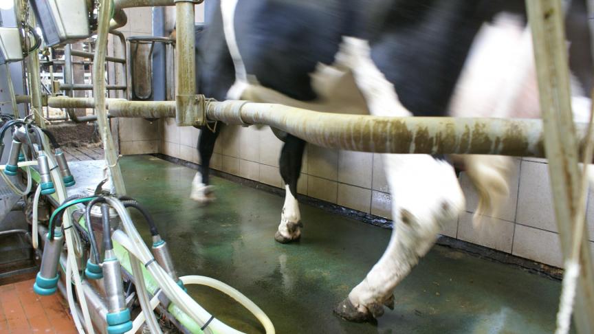LTO Milkprices ziet nog een kleine stijging voor oktober, maar denkt toch ook het eind van de stijgingen te ontwaren.