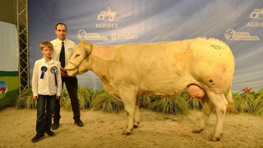 Farine de la Plate taille (Bourvil x Saoin), eerste prijs koeien mixte. Eig. Vandromme V., Boussu-les-Walcourt