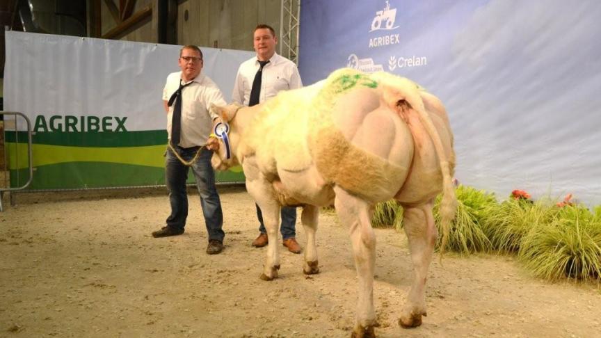 Rapsodie de l' Aubepine (Bambin x Imperial), eerste prijs vaarzen geboren tussen 10 juli 2016 en 6 september 2016. Eig. Laruelle M., Faimes
