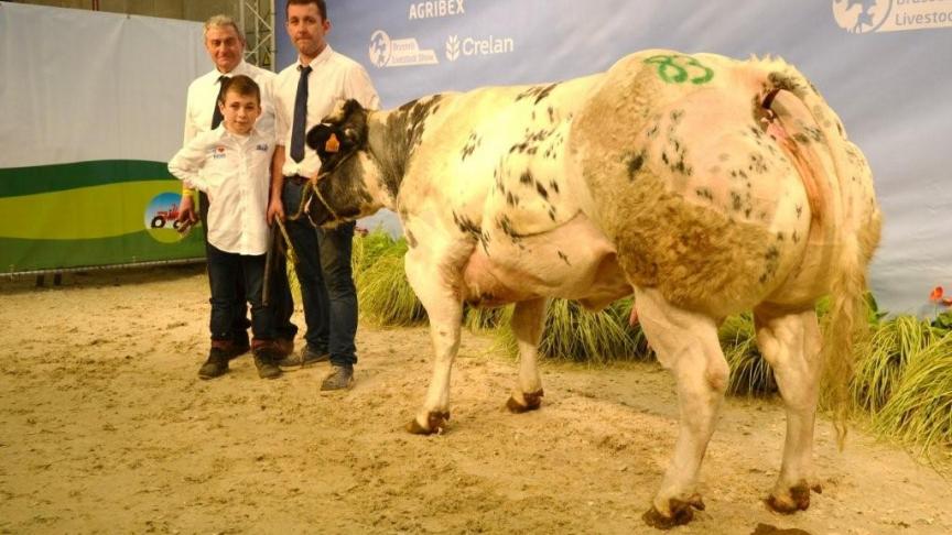 Alto de  St Fontaine (Attribut x  Juventus),  eerste prijs vaarzen  geboren tussen 7 april 2015 en 31 mei 2015. Eig.  Lanmontagne L;, Ben-Ahin