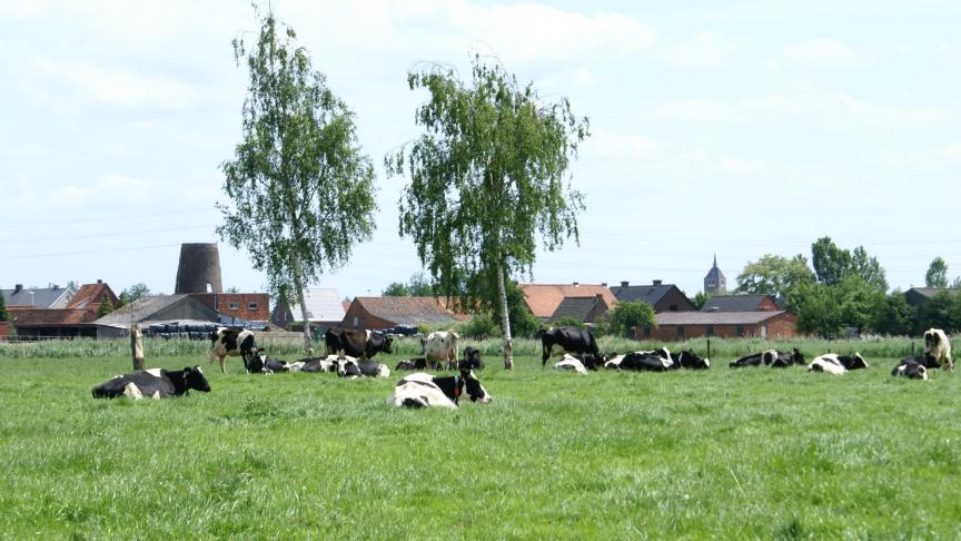 Consumenten kiezen vaker voor zuivelproduct in plaats van margarine.