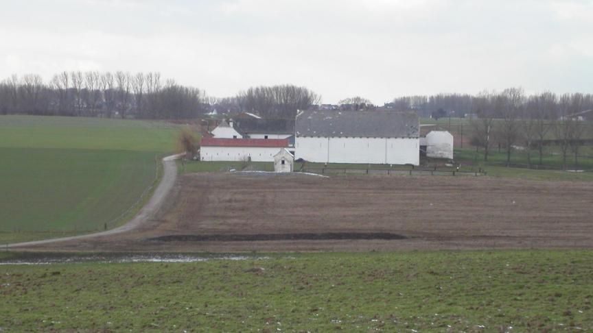 Agro-experten willen een leidraad bieden voor de waardebepaling van activa.