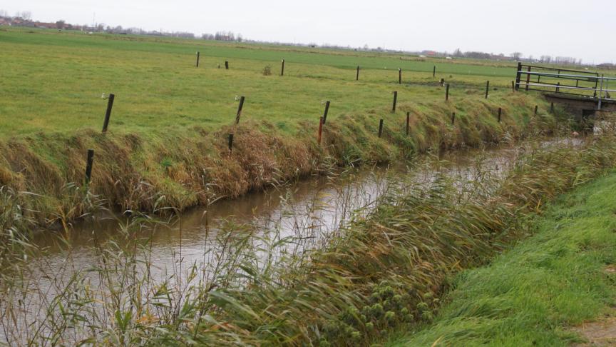 De advocaat sprak over een verkoopprijs van 39.000 euro per hectare, een koopje voor Huts.