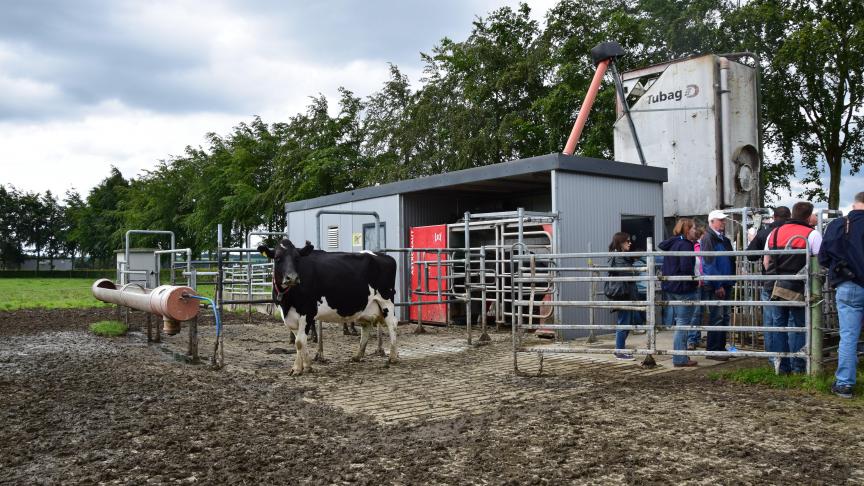 In de container bevinden zich naast de melkrobot nog een melkopslagtank, een bureautje en een krachtvoerautomaat, ernaast een krachtvoersilo.