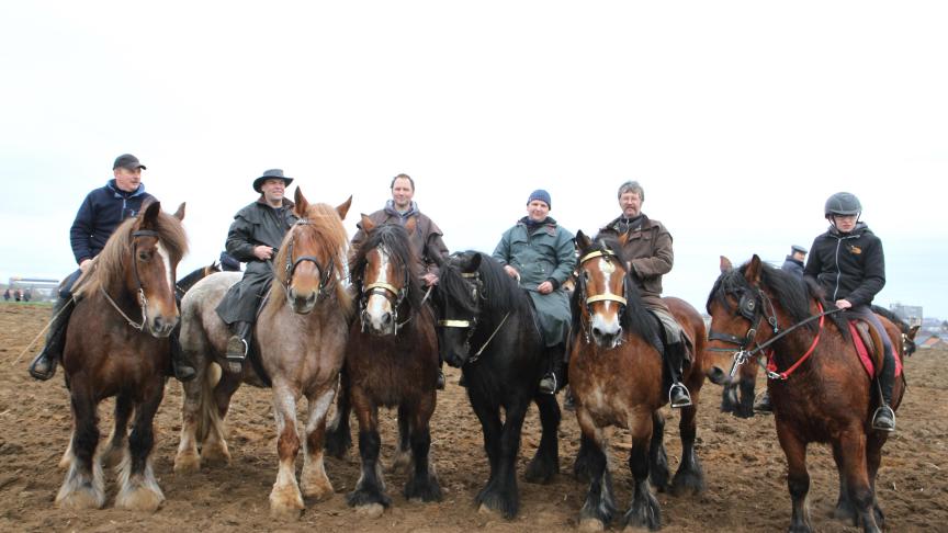 De recent opgerichte vereniging ‘Ju met ’t peird’ was aanwezig met 15 trekpaarden.