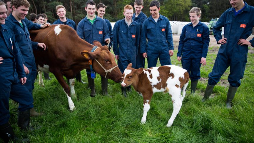 De afstudeerrichting bepaalt de aard en de opbouw van de stage. Studenten Landbouw en Tuinbouw komen op een productiebedrijf terecht.