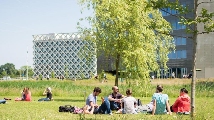 Tussen de gebouwen waar onderzoek wordt gedaan en wordt onderwezen, zijn naar Amerikaans voorbeeld grote ruimtes gemaakt voor ontspanning.