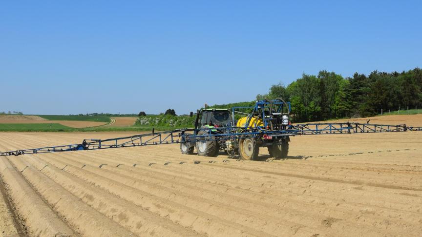 Afhankelijk van de gewasstand is in aardappelen de onkruidbestrijding aan de orde of de plaagbescherming.