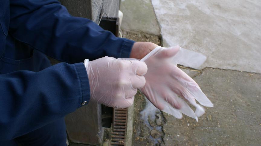 Misschien wel de meest eenvoudige preventiemaatregel is het dragen  van handschoenen tijdens het melken.