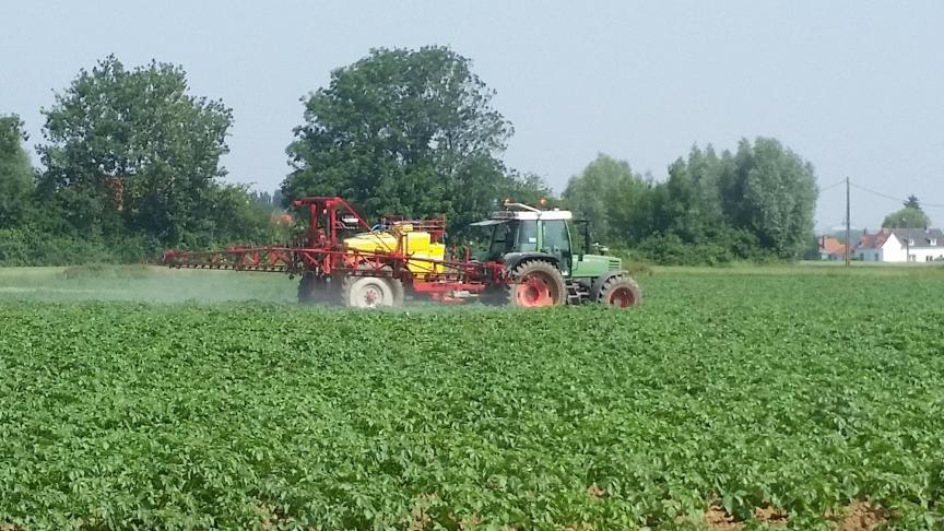 De aardappelvelden nauw opvolgen voor de plaagbestrijding is nu zeker nodig.